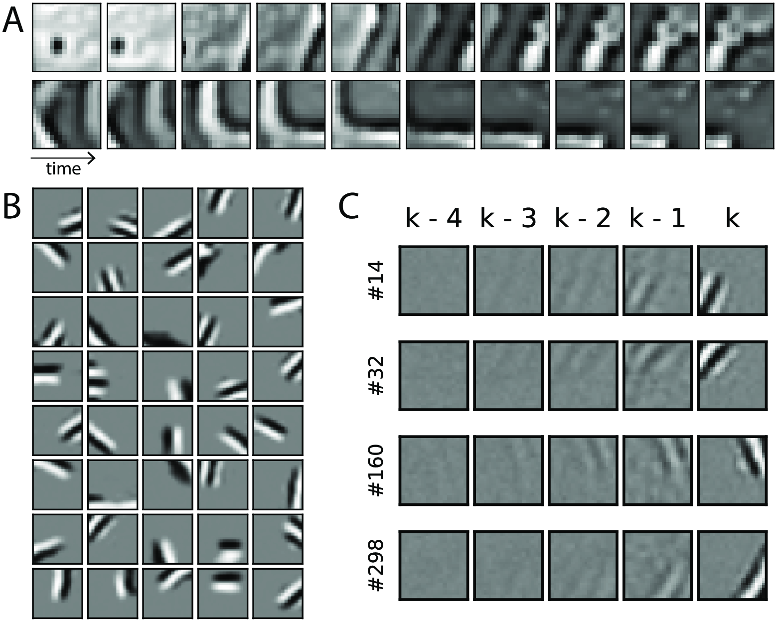 Receptive fields